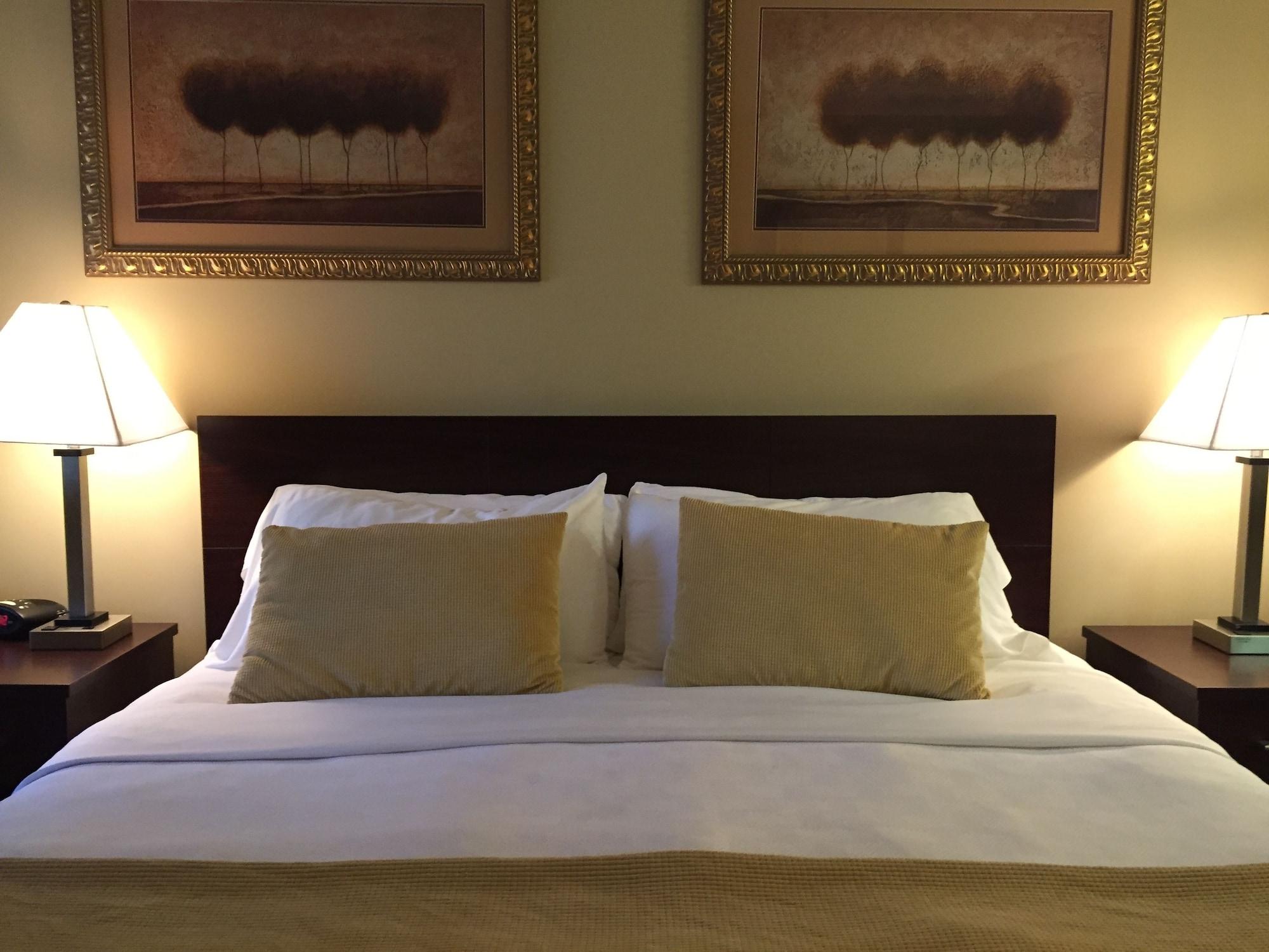 Travelodge By Wyndham Presidio San Francisco Zewnętrze zdjęcie